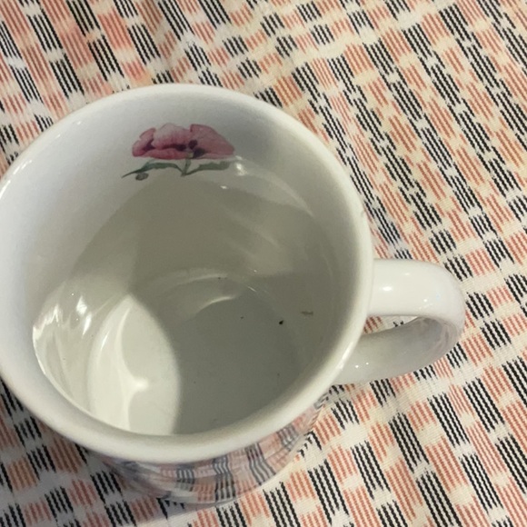 Felines - Picture 4 of 4